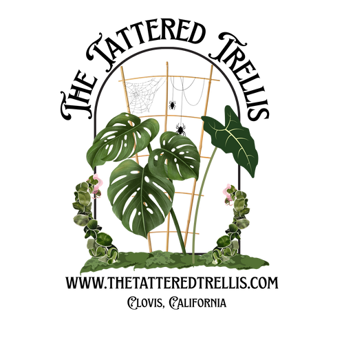 The Tattered Trellis