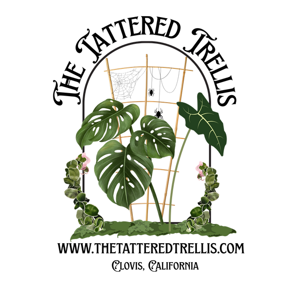 The Tattered Trellis